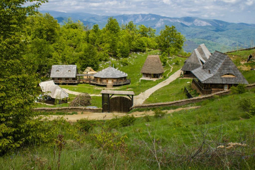 Raven'S Nest Hotel Alsószolcsva Kültér fotó
