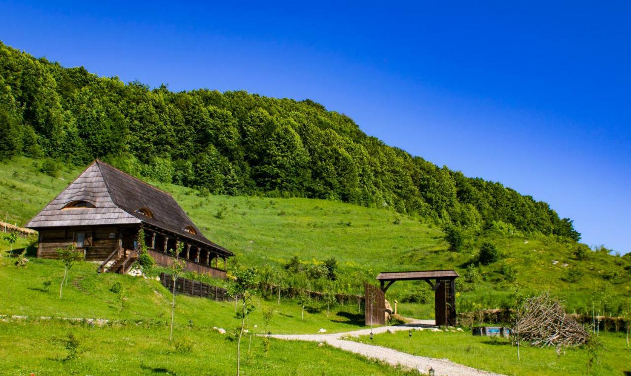 Raven'S Nest Hotel Alsószolcsva Kültér fotó